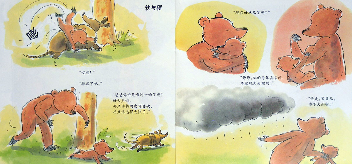 看世界 (06),绘本,绘本故事,绘本阅读,故事书,童书,图画书,课外阅读